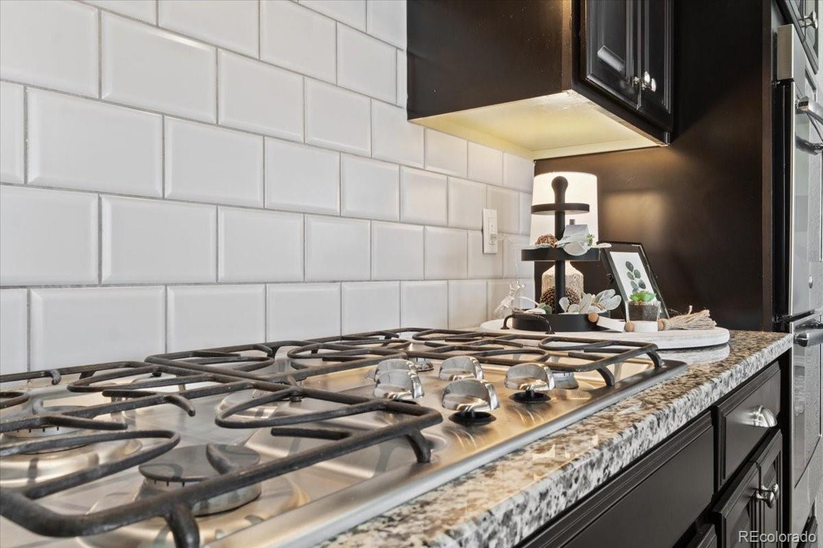 MLS Image #11 for 3745  spanish oaks trail,castle rock, Colorado