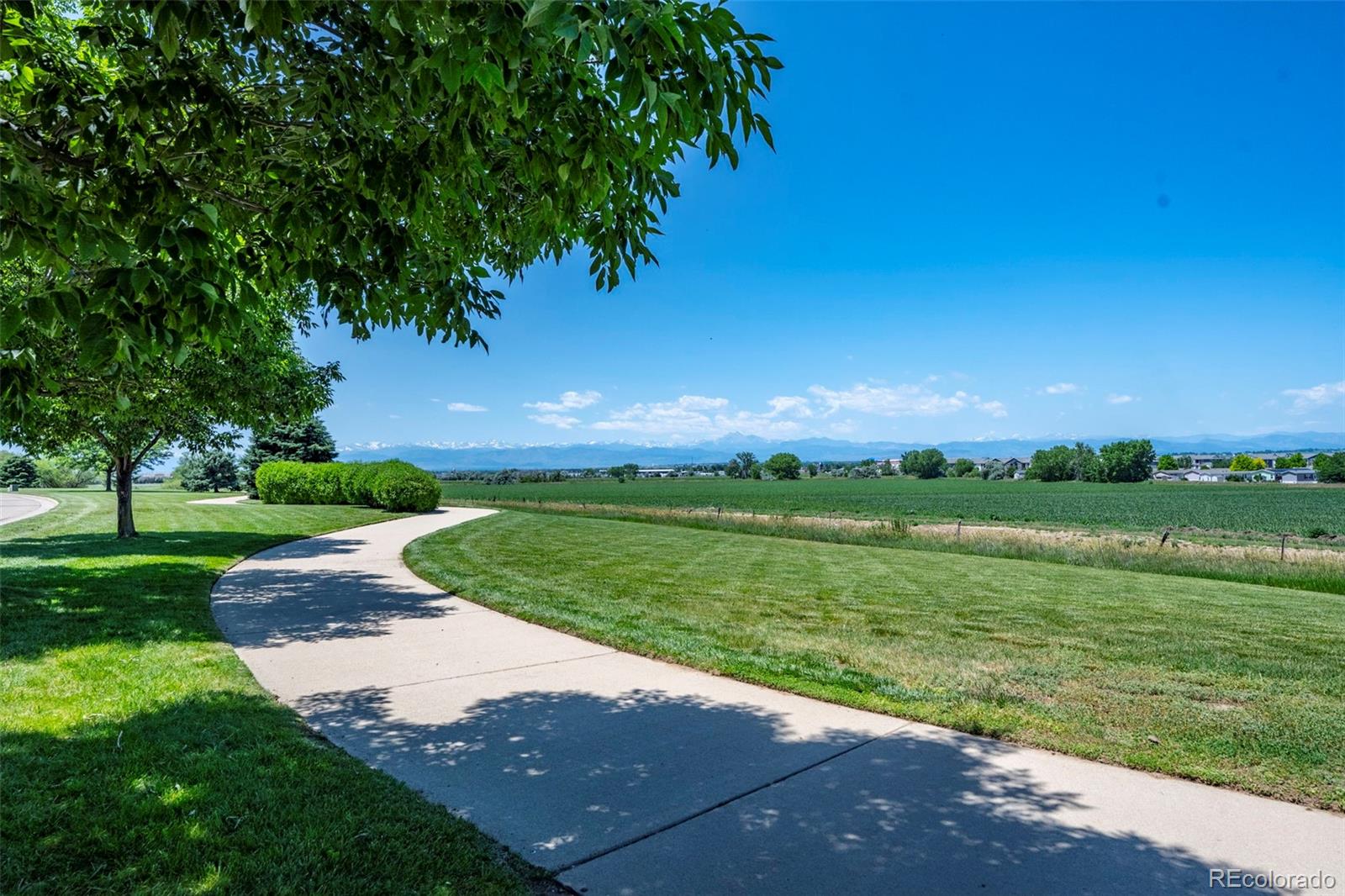 MLS Image #27 for 4830  monarch drive,firestone, Colorado