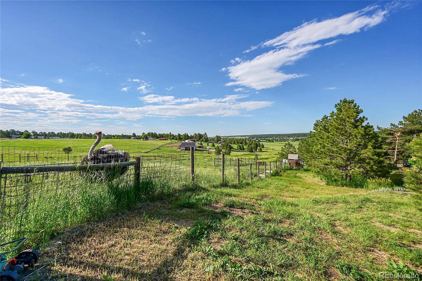 MLS Image #35 for 1353 s elbert street,elizabeth, Colorado