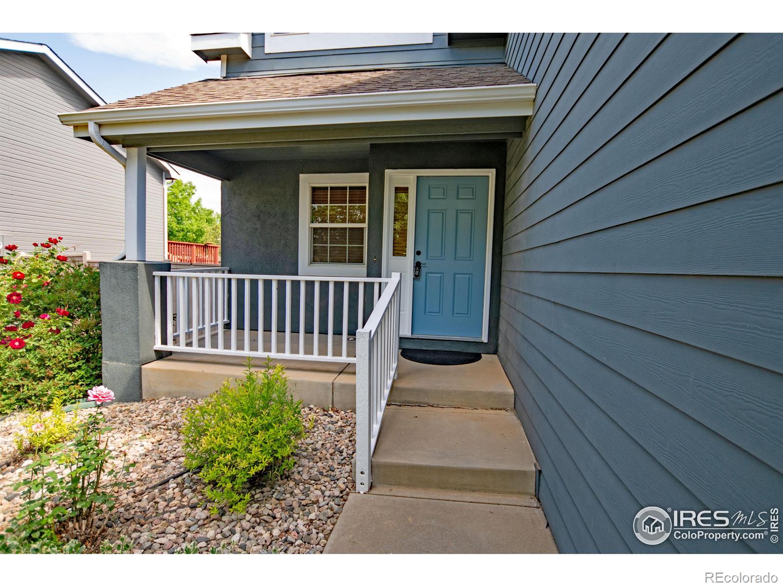 MLS Image #3 for 3268  white buffalo drive,wellington, Colorado
