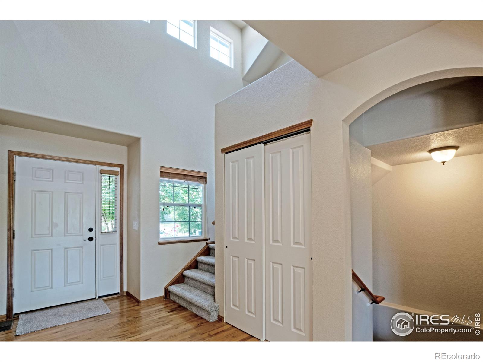 MLS Image #5 for 3268  white buffalo drive,wellington, Colorado