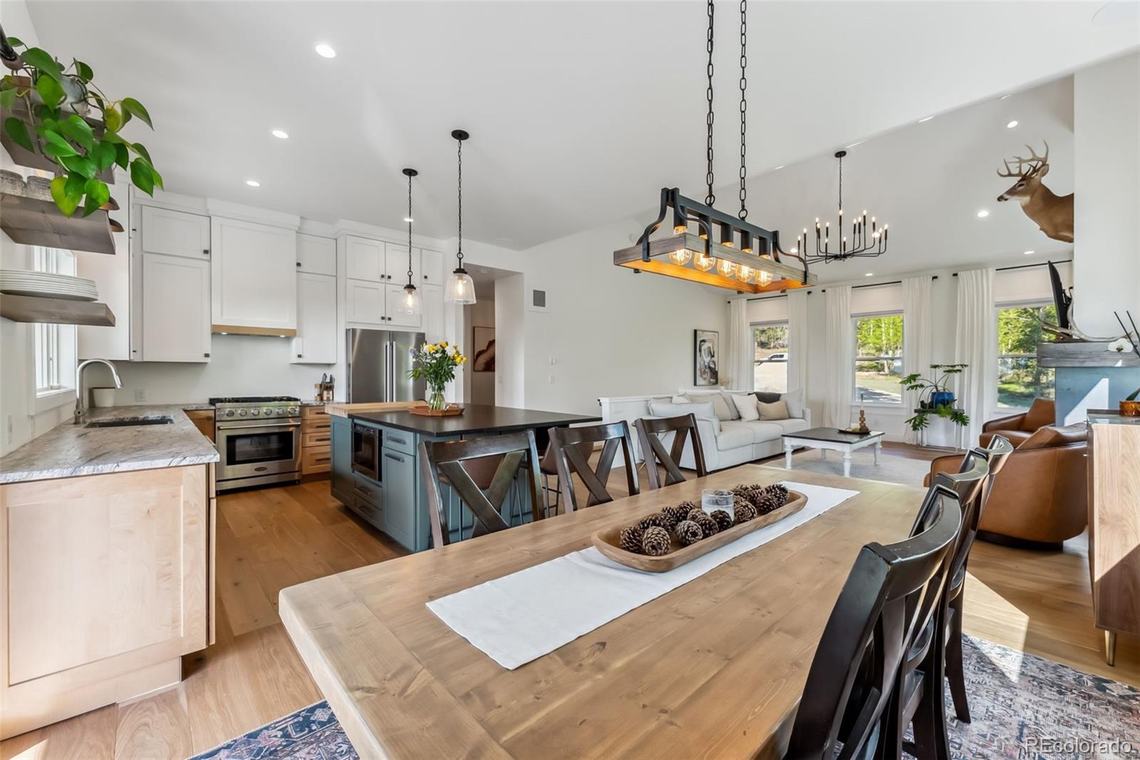 MLS Image #12 for 372  park view drive,fairplay, Colorado