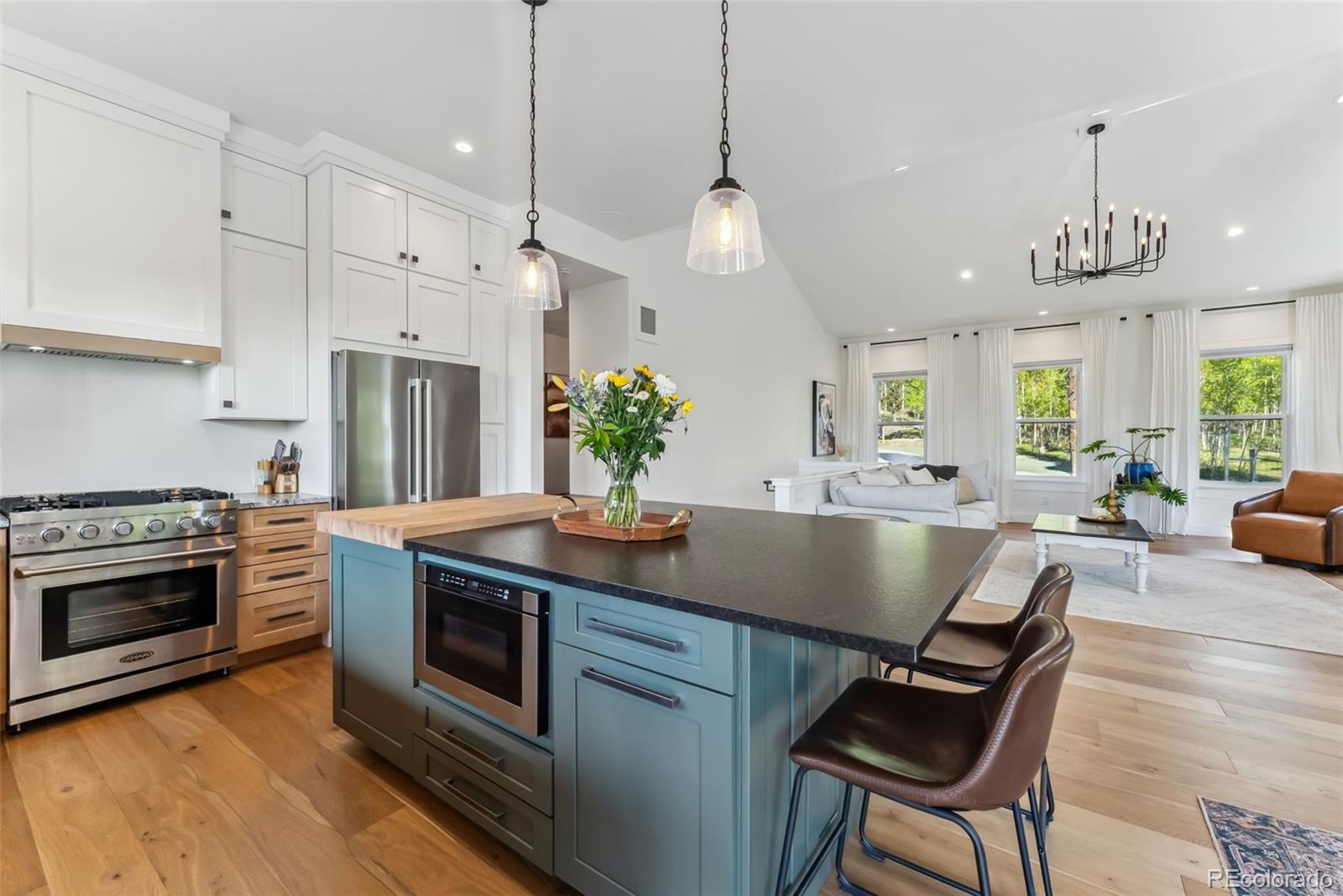 MLS Image #13 for 372  park view drive,fairplay, Colorado