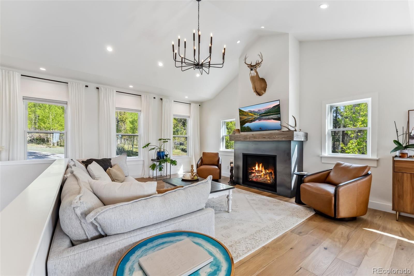 MLS Image #2 for 372  park view drive,fairplay, Colorado