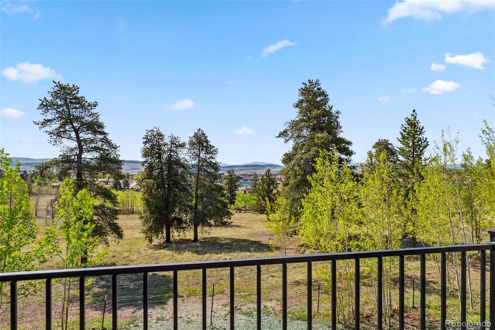 MLS Image #29 for 372  park view drive,fairplay, Colorado