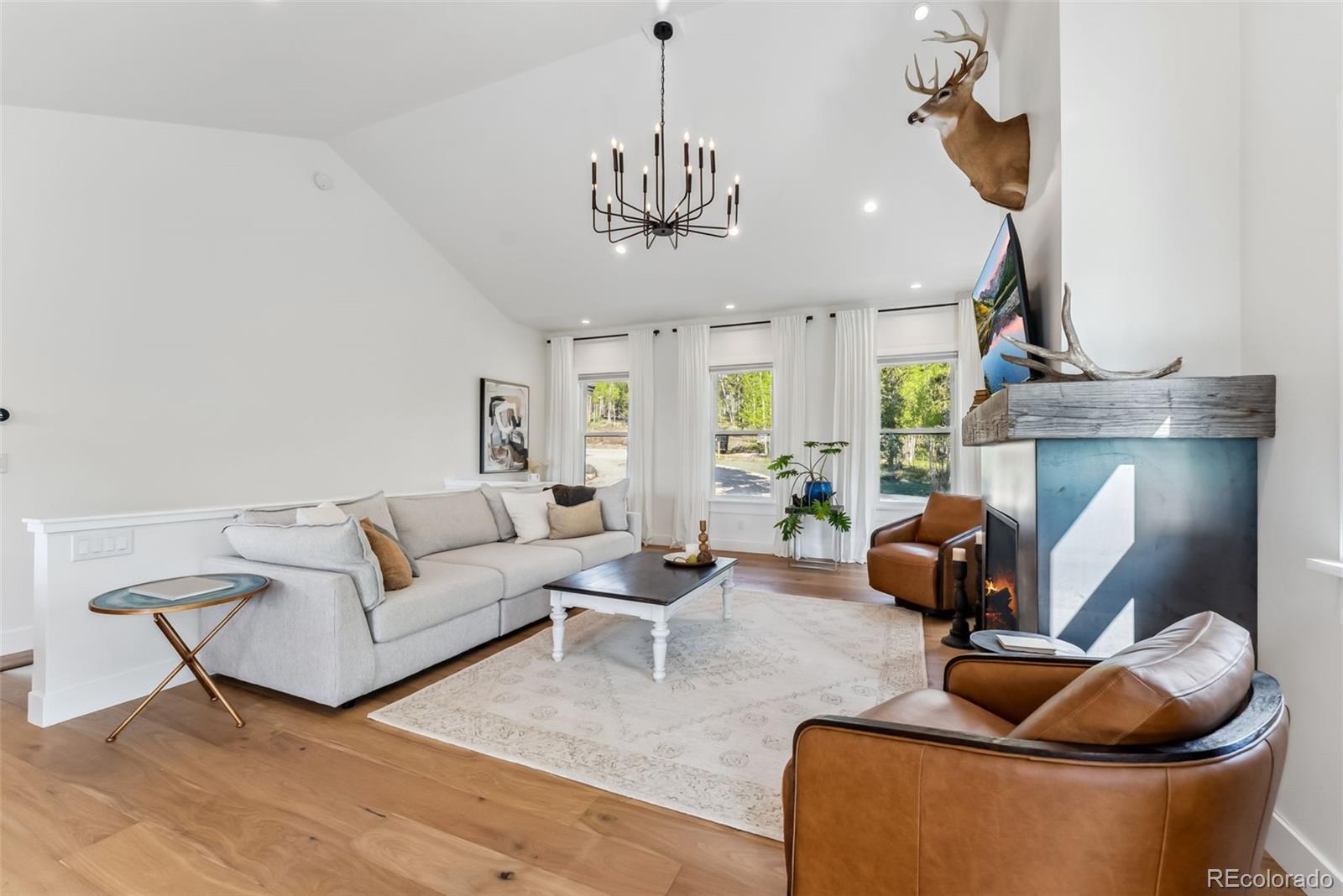 MLS Image #3 for 372  park view drive,fairplay, Colorado