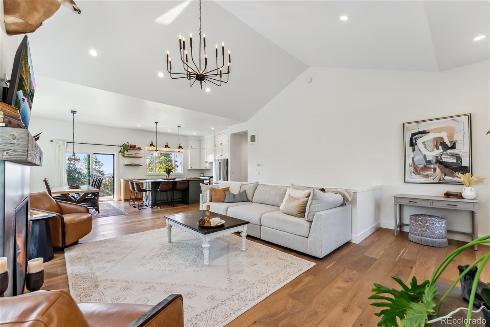 MLS Image #4 for 372  park view drive,fairplay, Colorado
