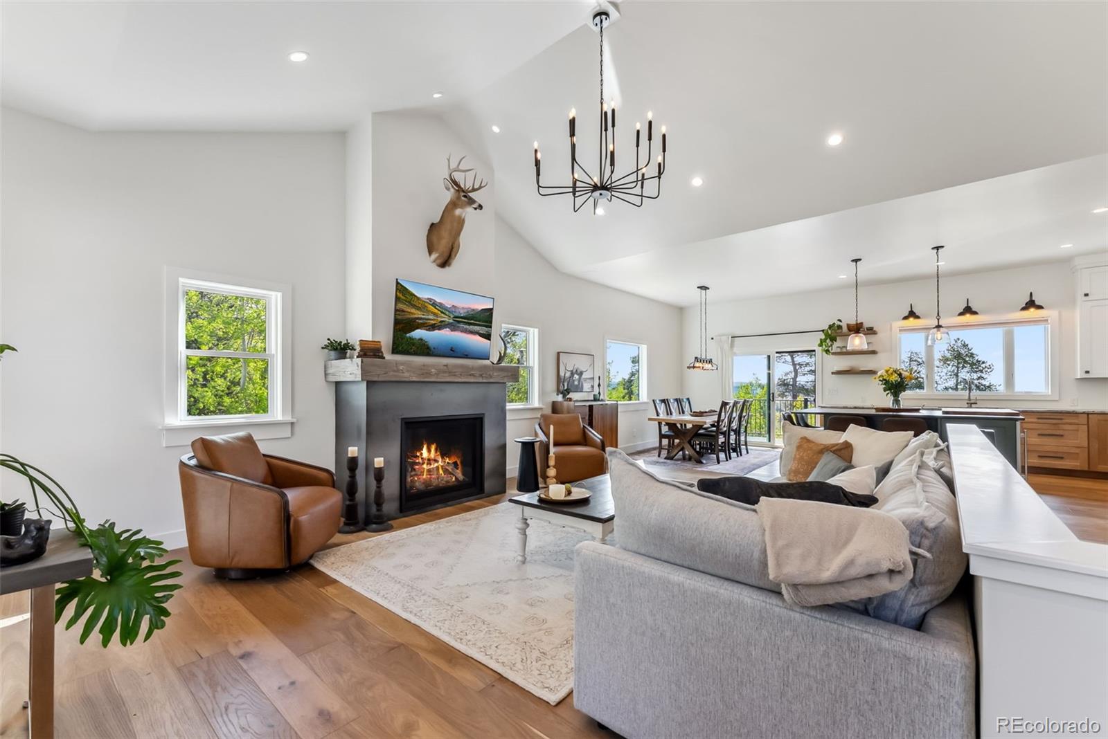 MLS Image #5 for 372  park view drive,fairplay, Colorado