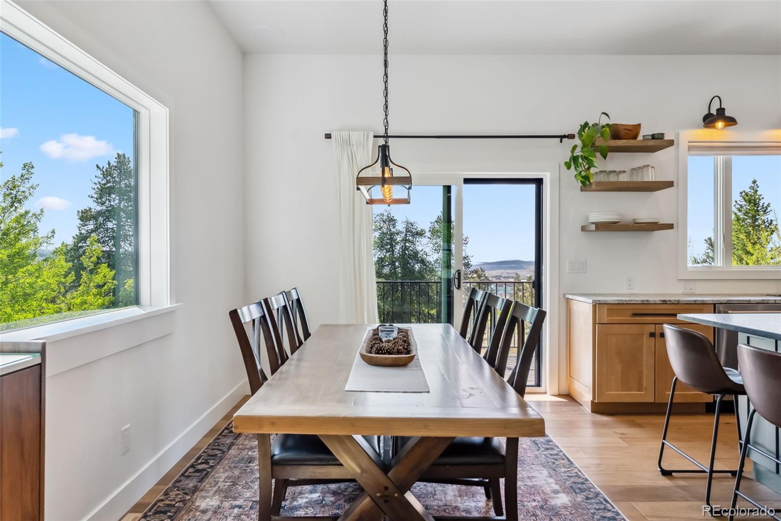 MLS Image #6 for 372  park view drive,fairplay, Colorado