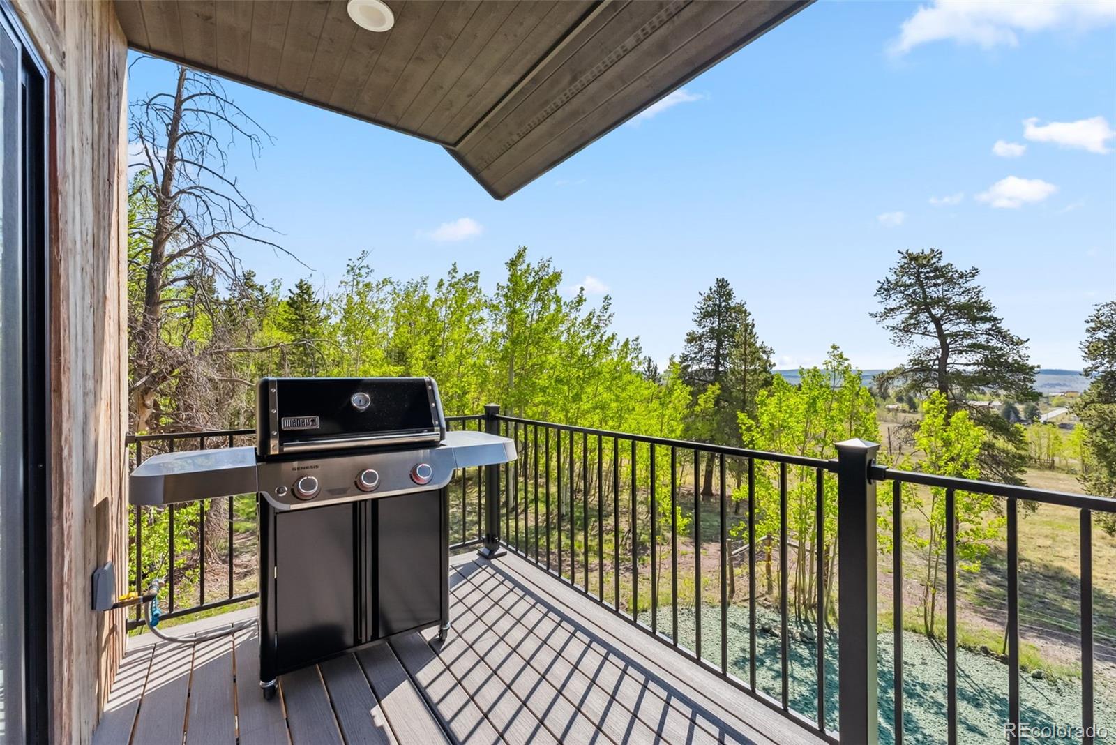 MLS Image #9 for 372  park view drive,fairplay, Colorado