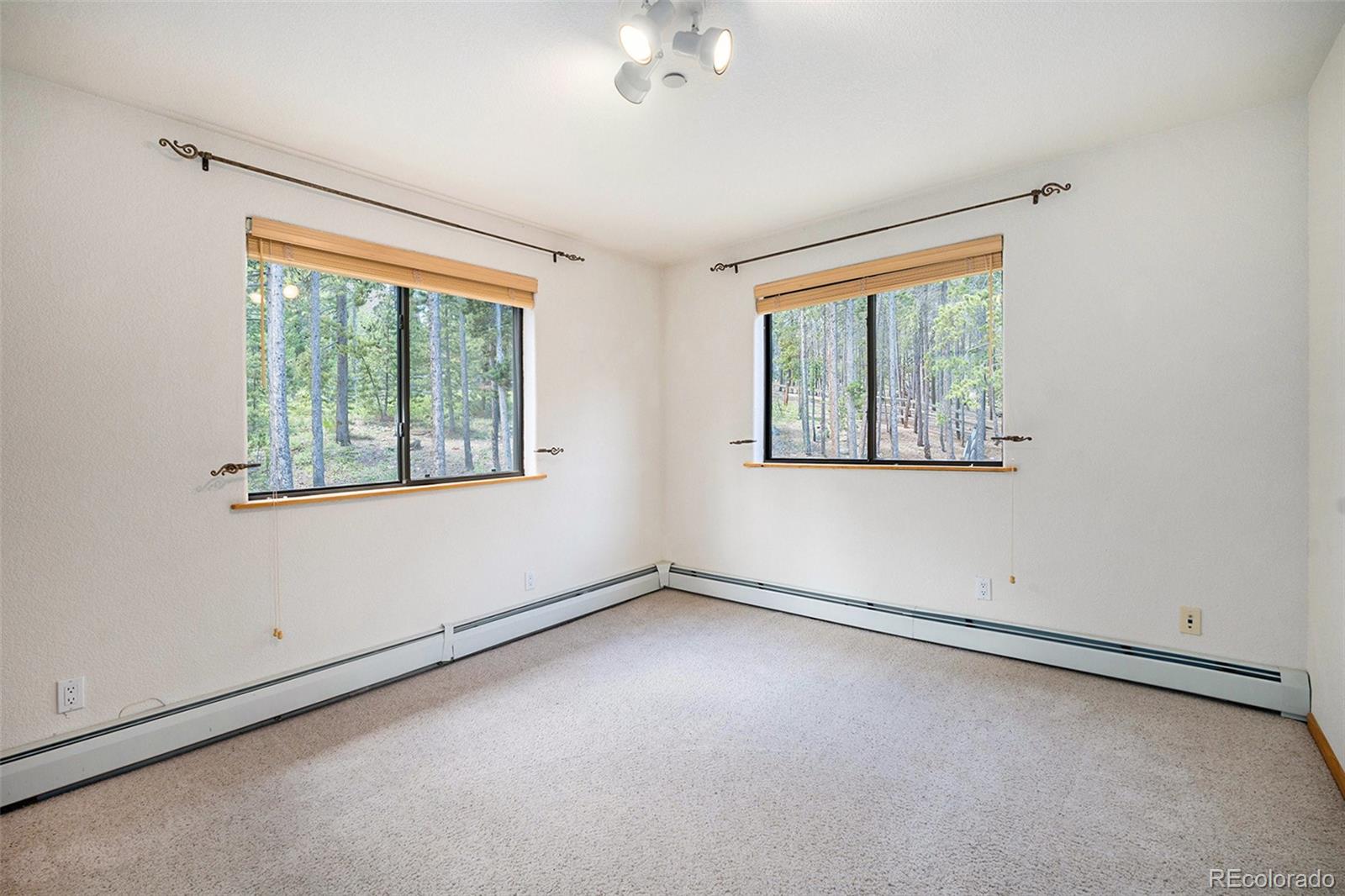MLS Image #17 for 5  ronnie road,golden, Colorado