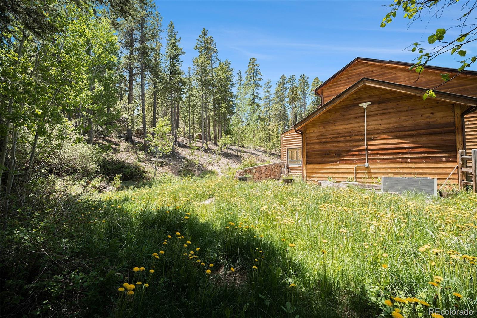 MLS Image #25 for 5  ronnie road,golden, Colorado