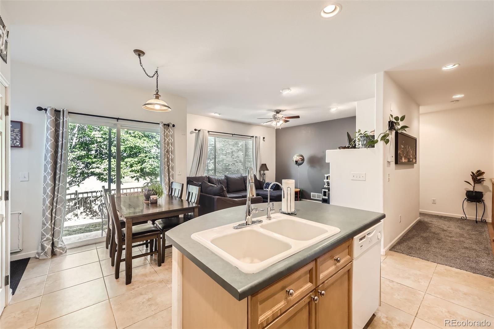 MLS Image #10 for 12  apache plume street,brighton, Colorado