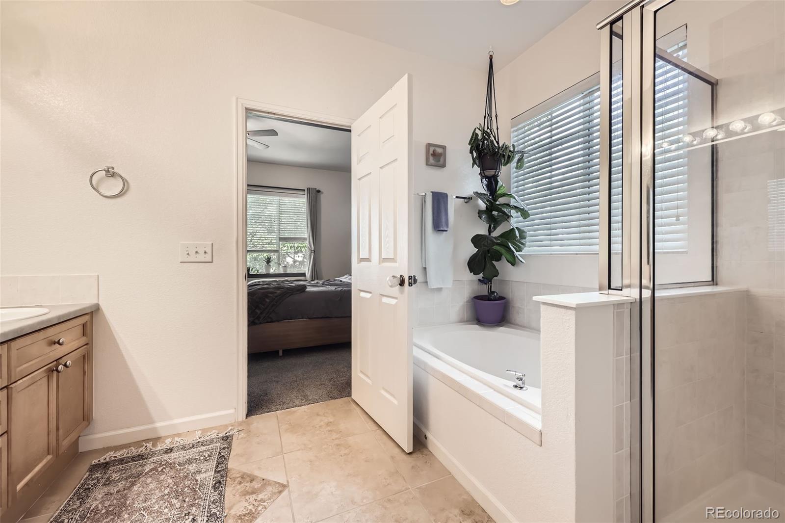 MLS Image #15 for 12  apache plume street,brighton, Colorado