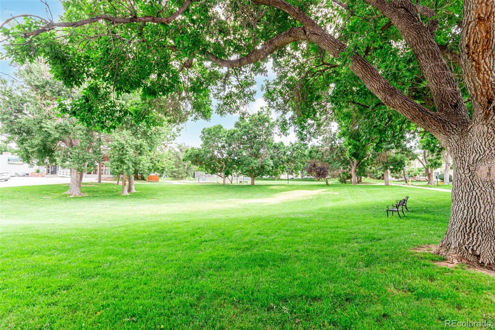 MLS Image #37 for 8335  fairmount drive,denver, Colorado