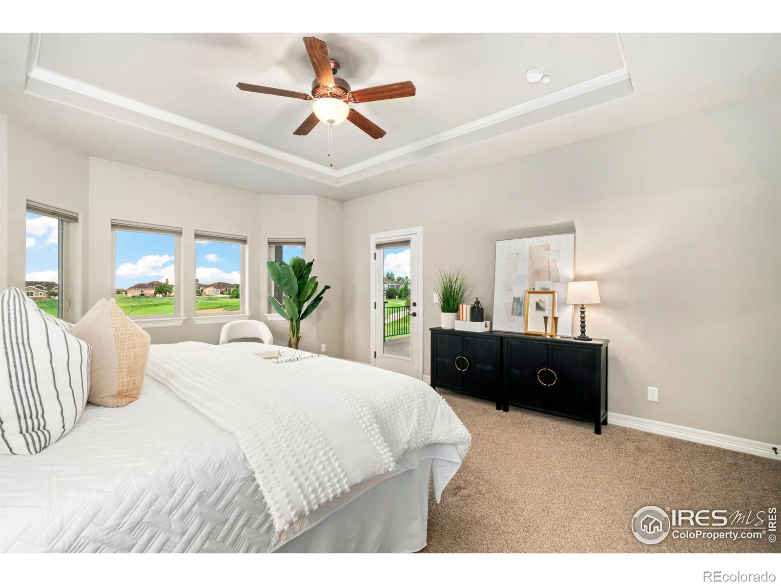 MLS Image #10 for 5954  black lion court,windsor, Colorado