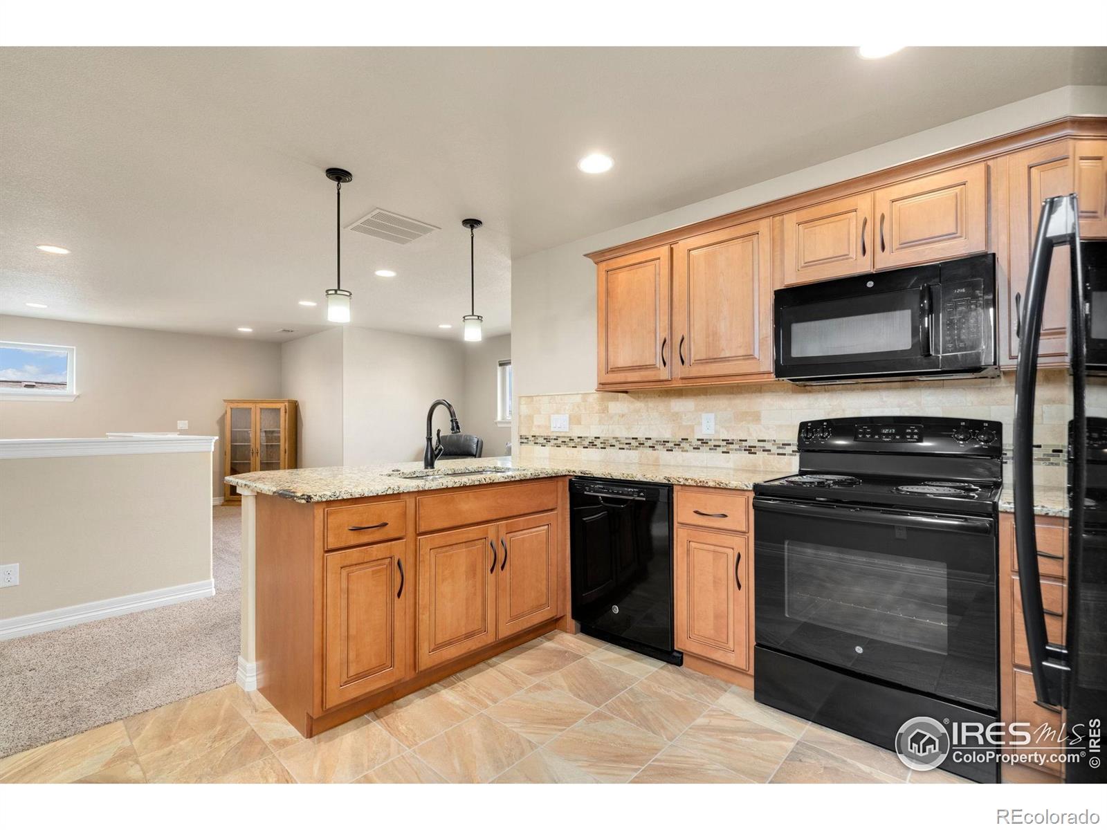MLS Image #18 for 5954  black lion court,windsor, Colorado