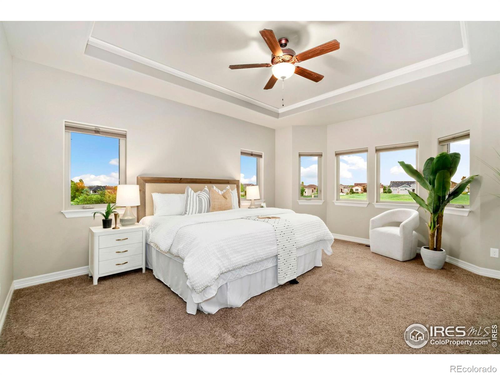 MLS Image #9 for 5954  black lion court,windsor, Colorado