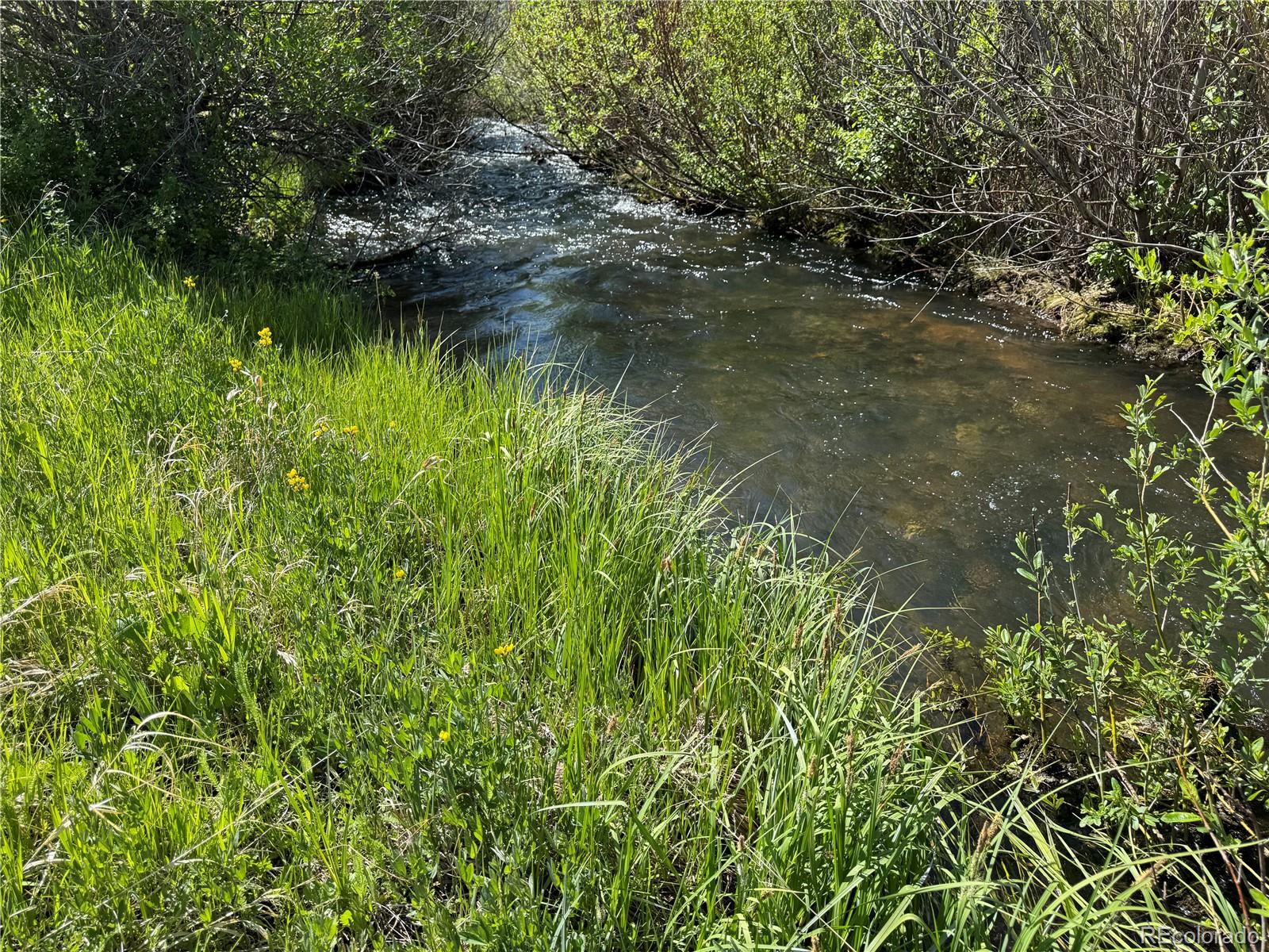 MLS Image #9 for 50002  county road ll56 ,villa grove, Colorado
