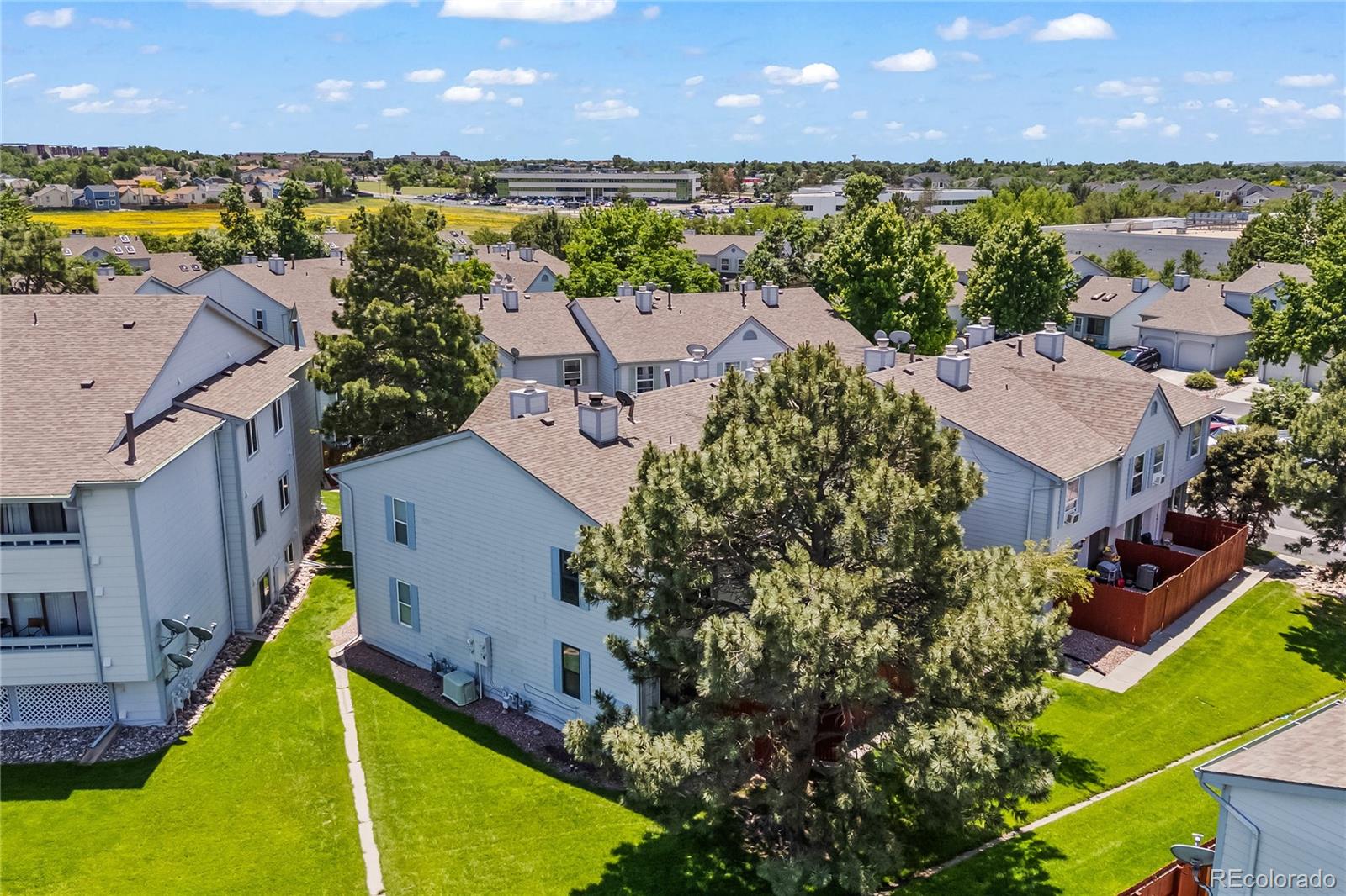 MLS Image #24 for 1344  firefly circle,colorado springs, Colorado