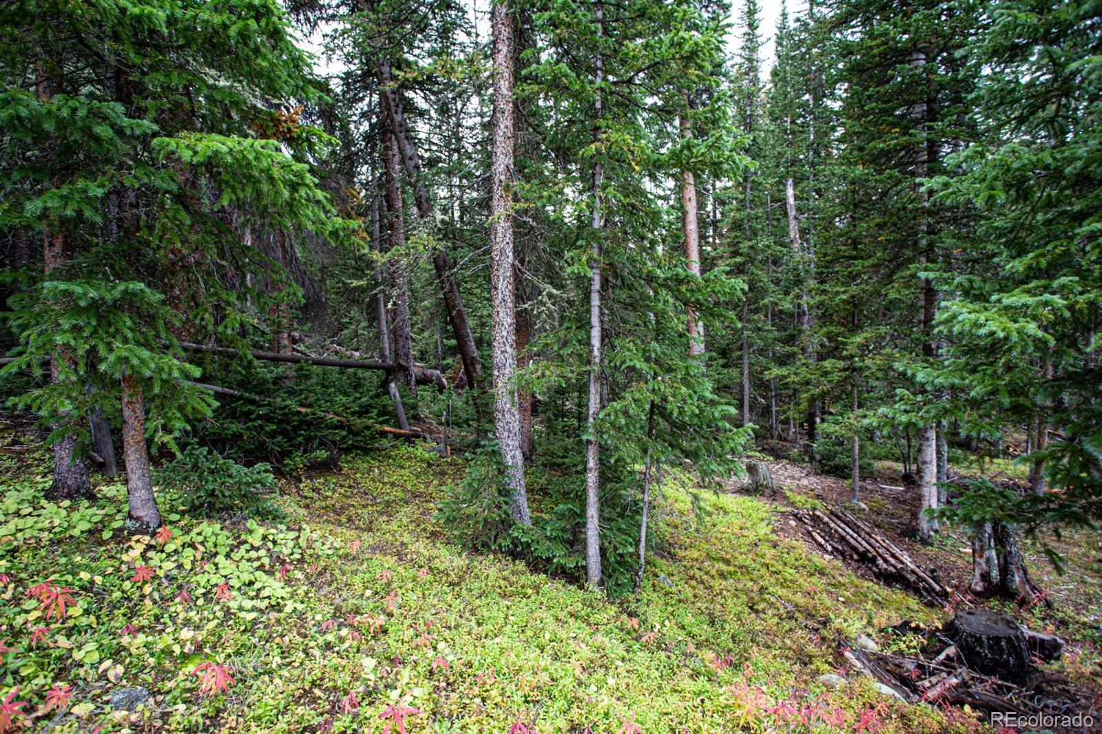 MLS Image #42 for 10  bullion mine road,keystone, Colorado