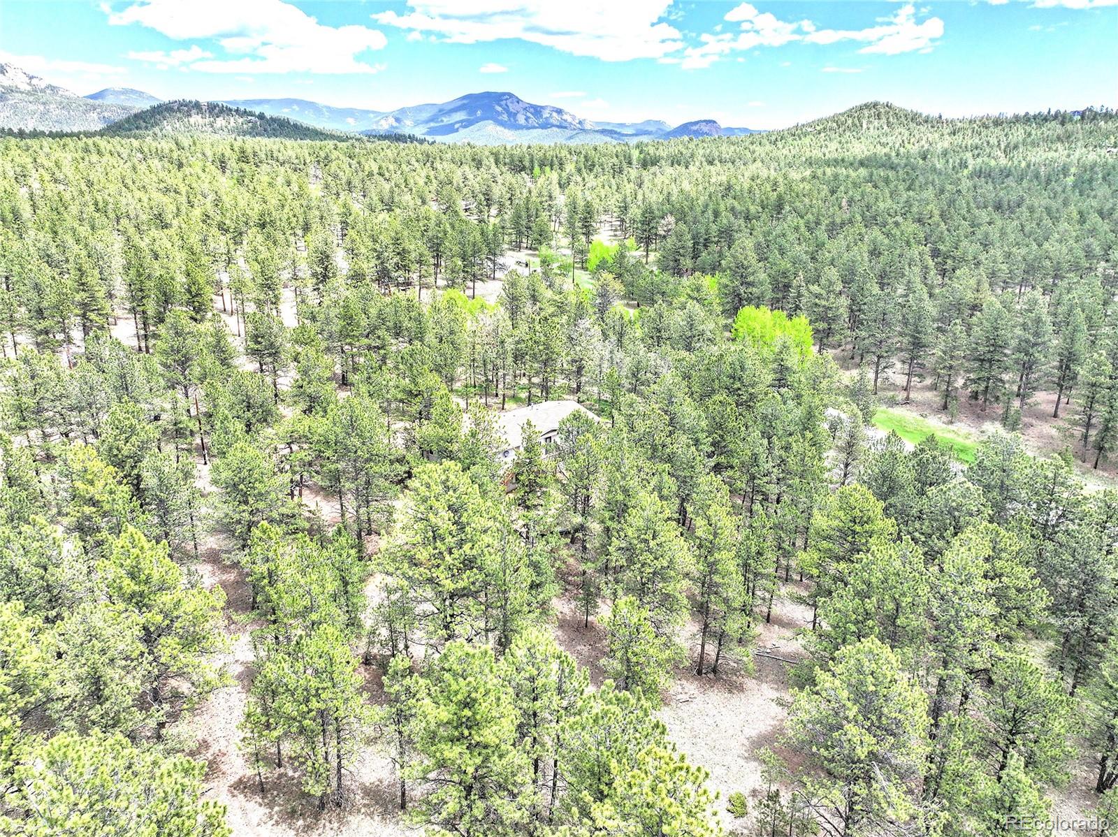 MLS Image #26 for 56  bounty hunter lane,bailey, Colorado