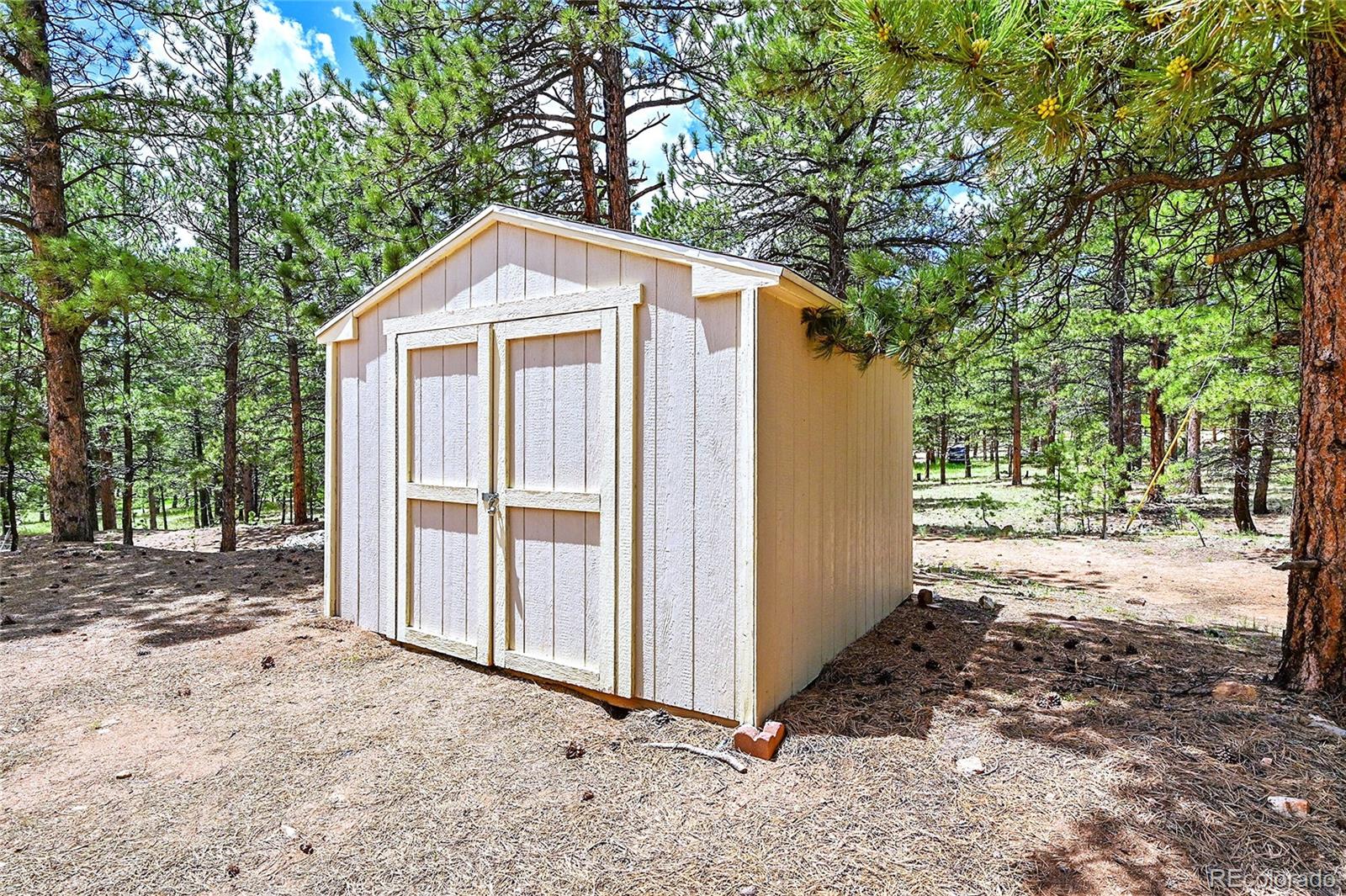 MLS Image #6 for 56  bounty hunter lane,bailey, Colorado