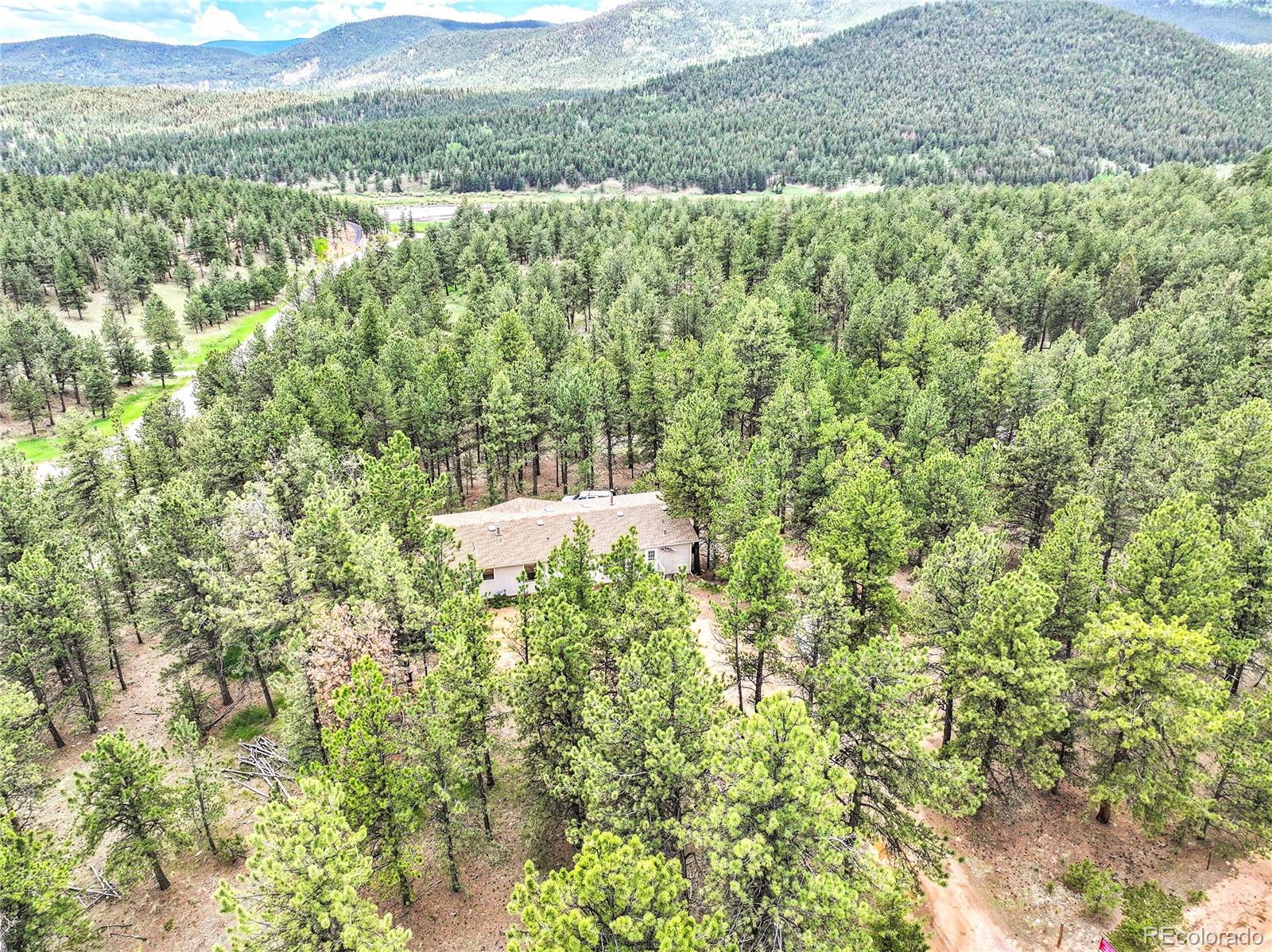 MLS Image #9 for 56  bounty hunter lane,bailey, Colorado