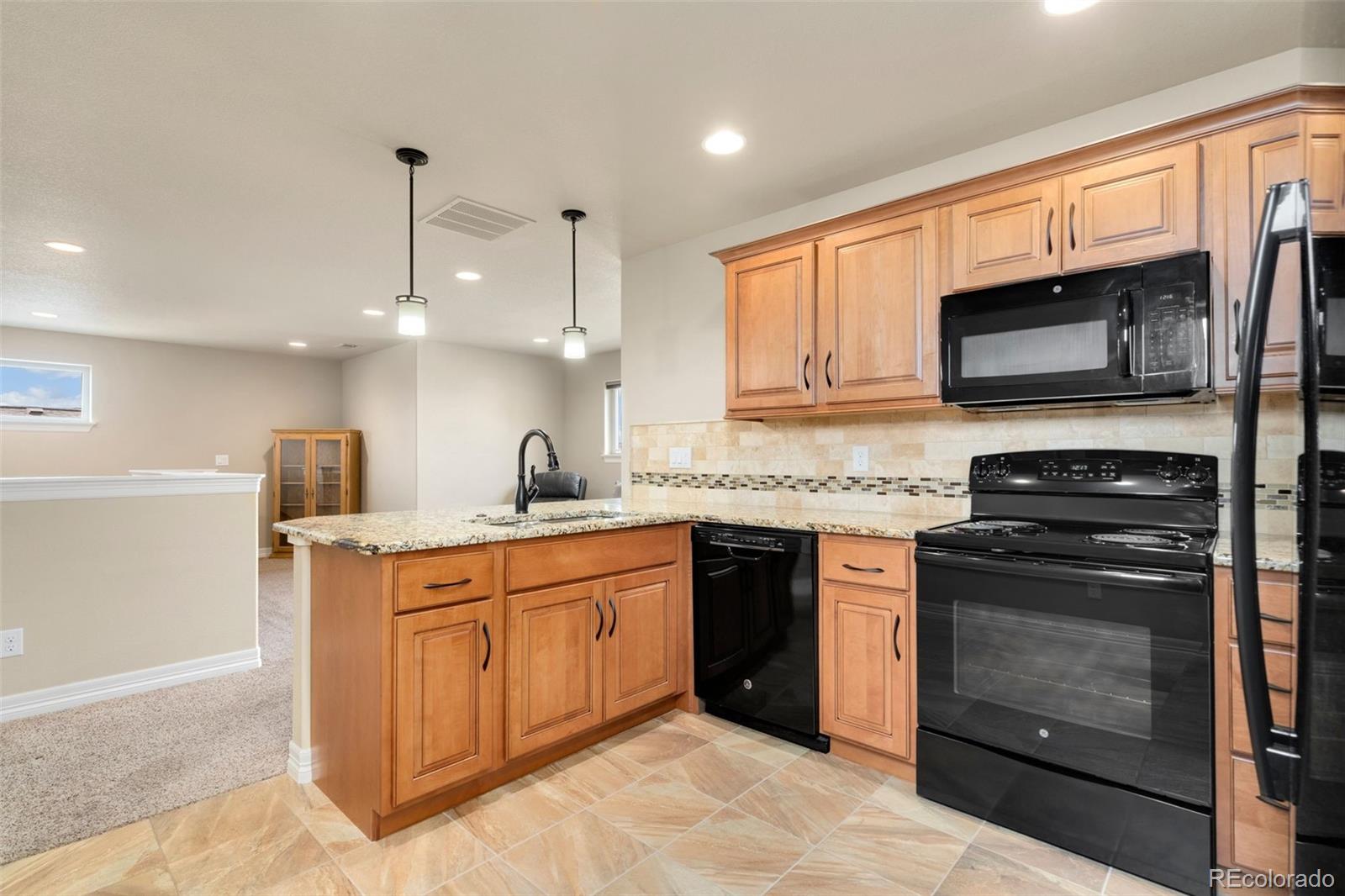MLS Image #17 for 5954  black lion ct court,windsor, Colorado