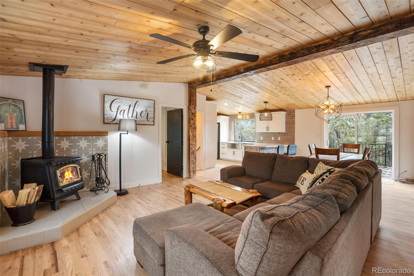 MLS Image #4 for 944  county road 512 ,divide, Colorado