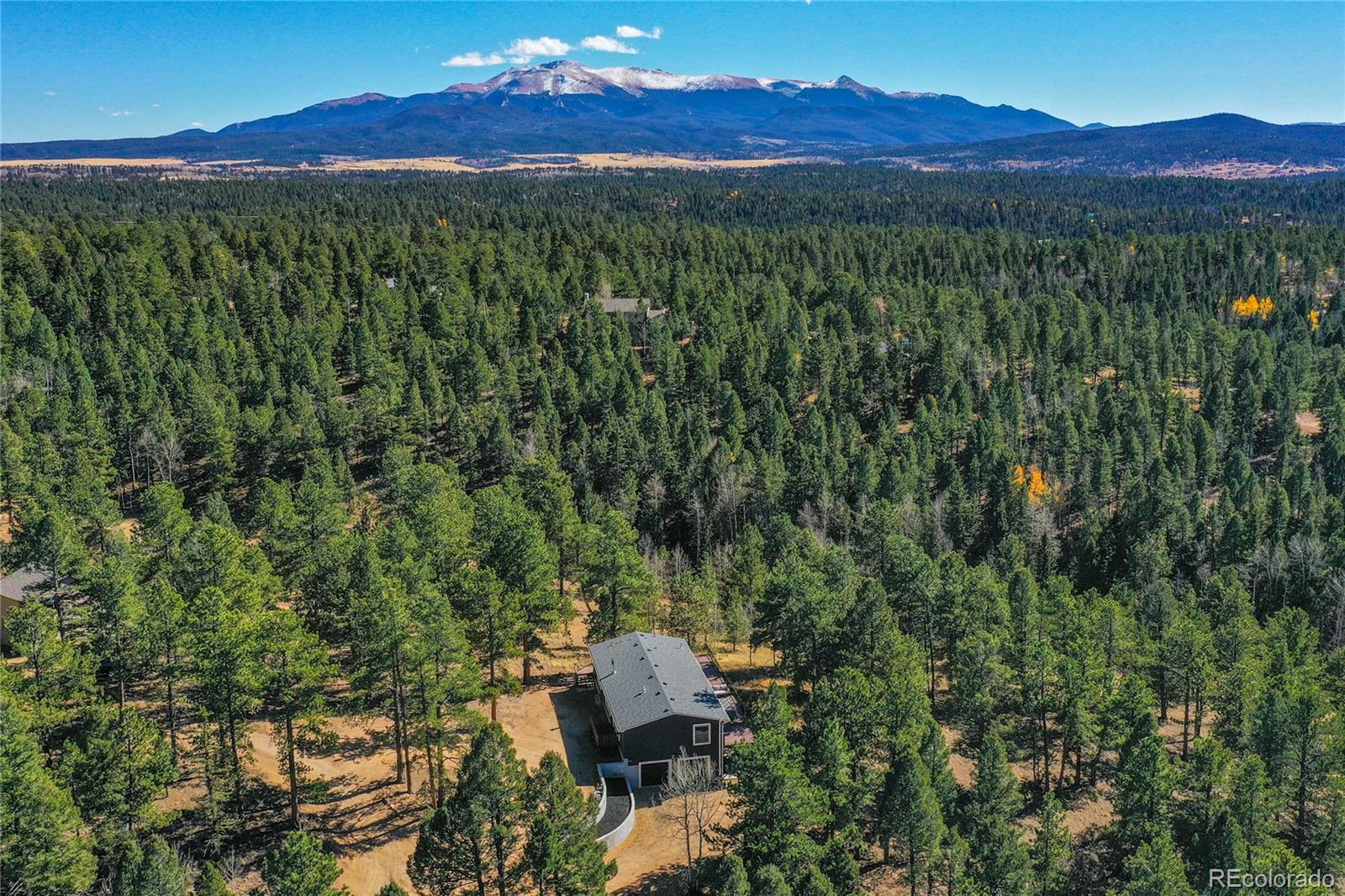 MLS Image #5 for 944  county road 512 ,divide, Colorado