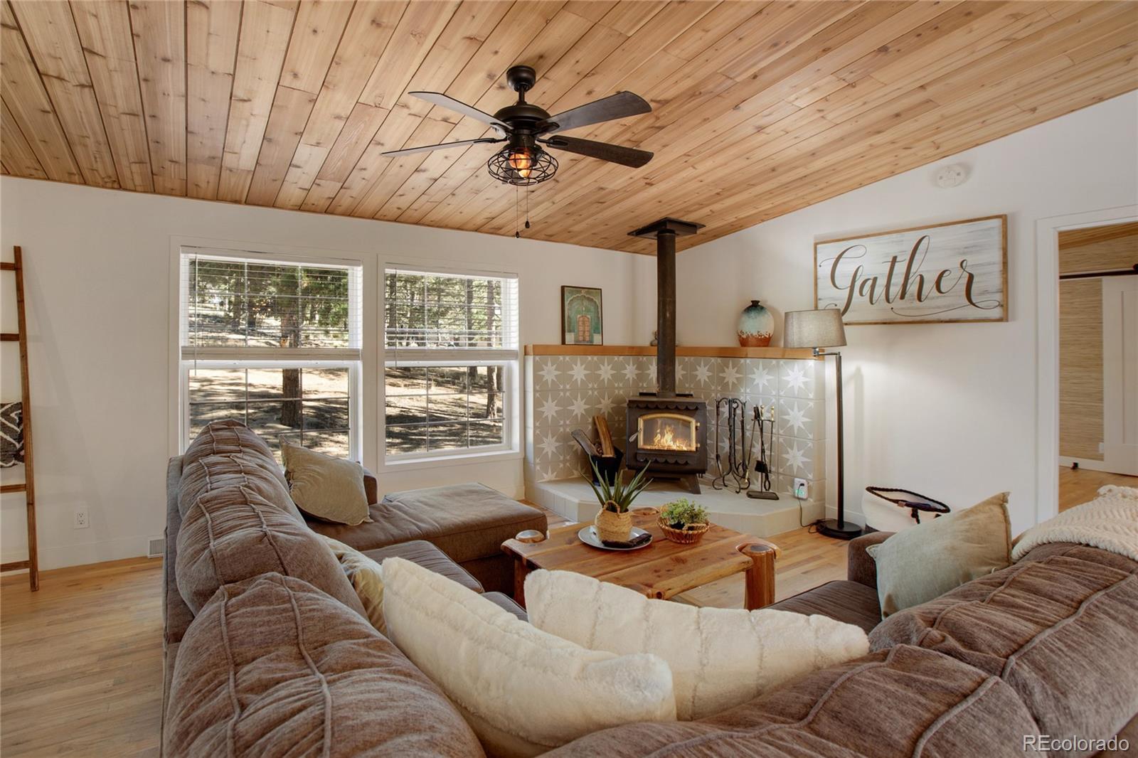 MLS Image #8 for 944  county road 512 ,divide, Colorado
