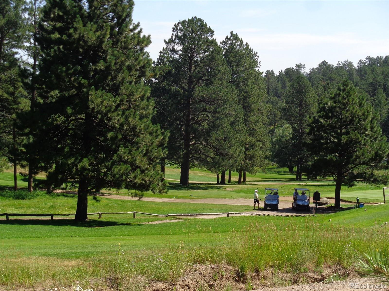 MLS Image #38 for 29090  golf way,evergreen, Colorado