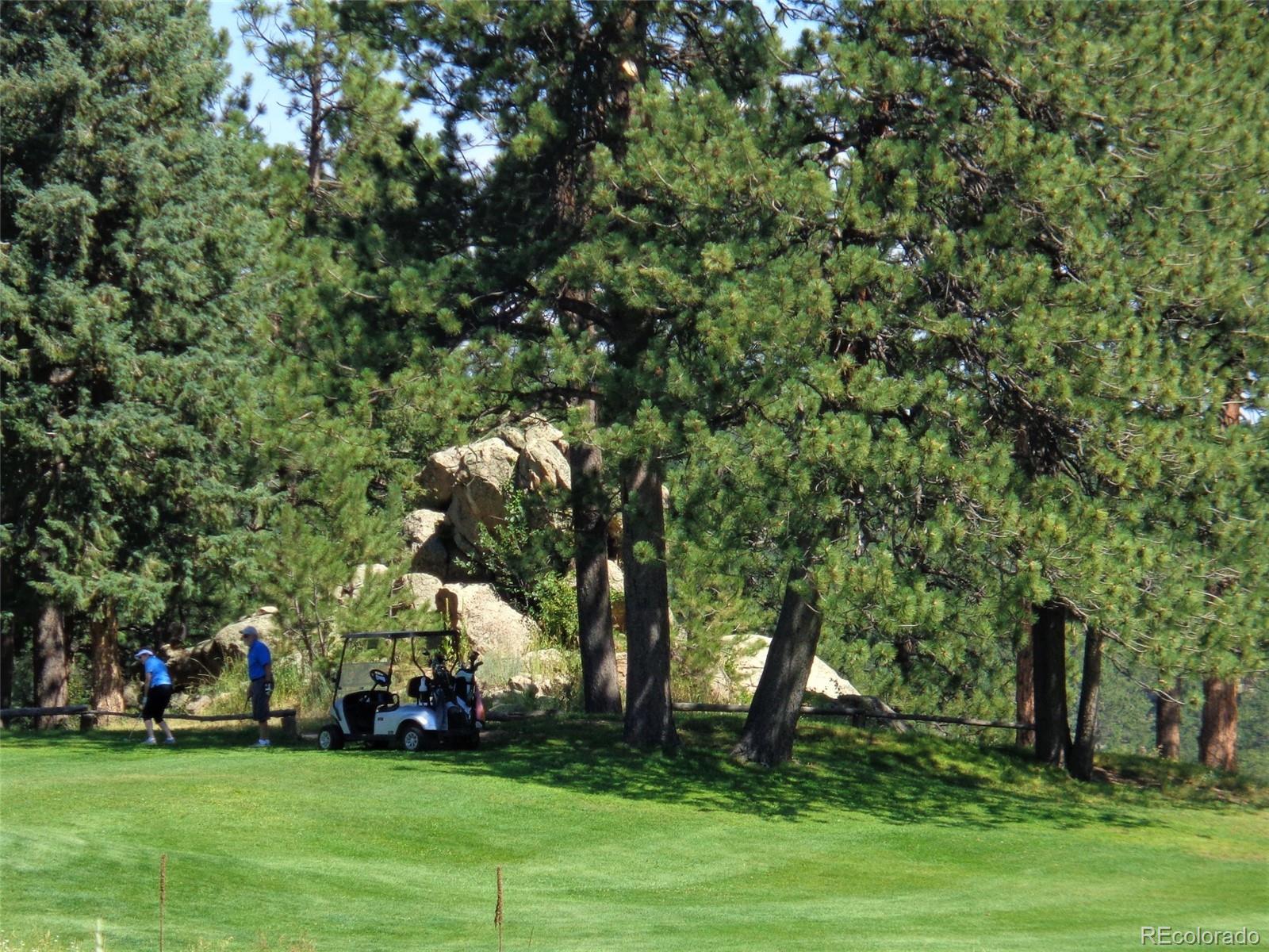 MLS Image #39 for 29090  golf way,evergreen, Colorado