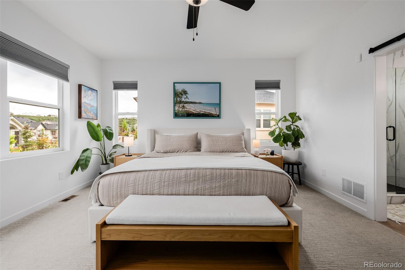 MLS Image #14 for 4465  mesa top drive,monument, Colorado