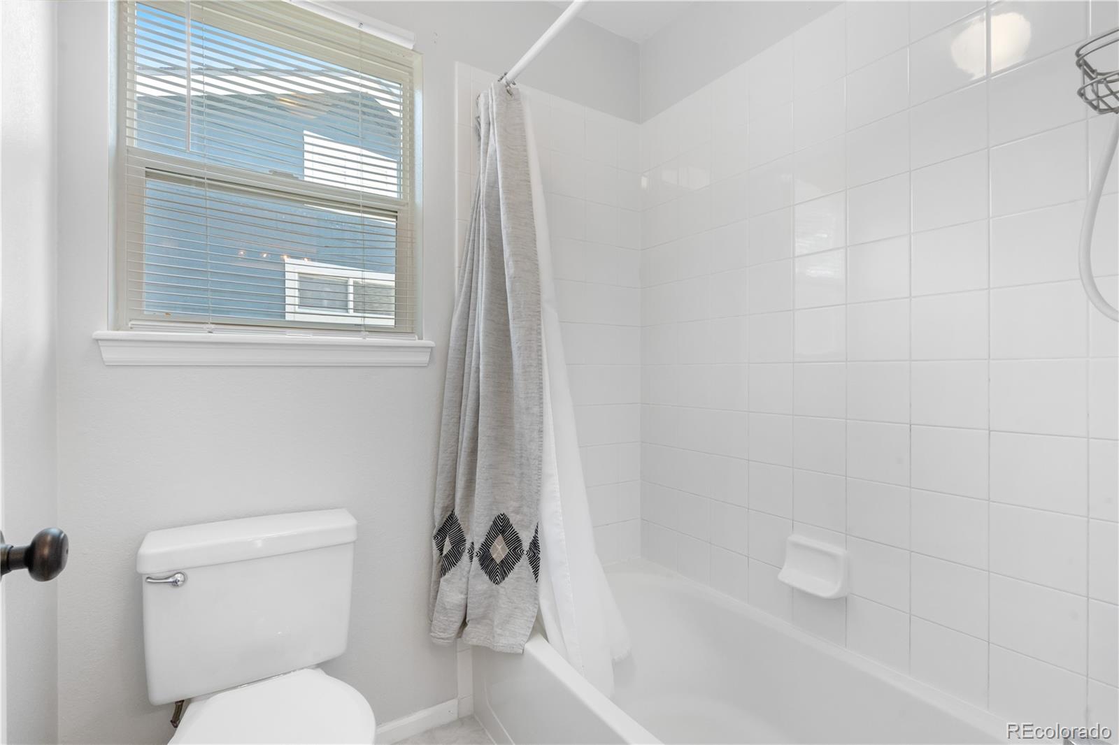 MLS Image #28 for 10262  spotted owl avenue,highlands ranch, Colorado