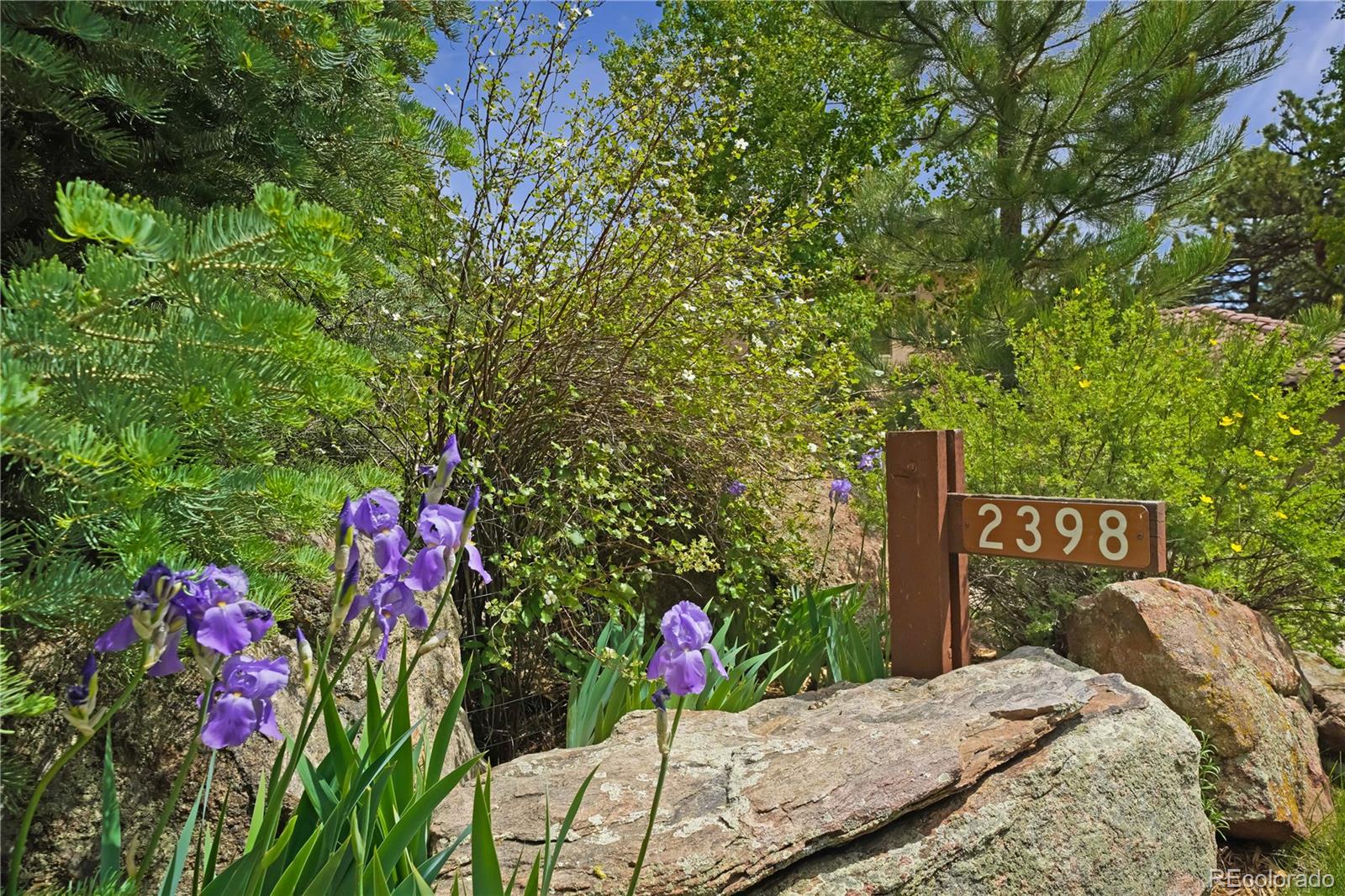 MLS Image #30 for 2398  bitterroot lane,golden, Colorado