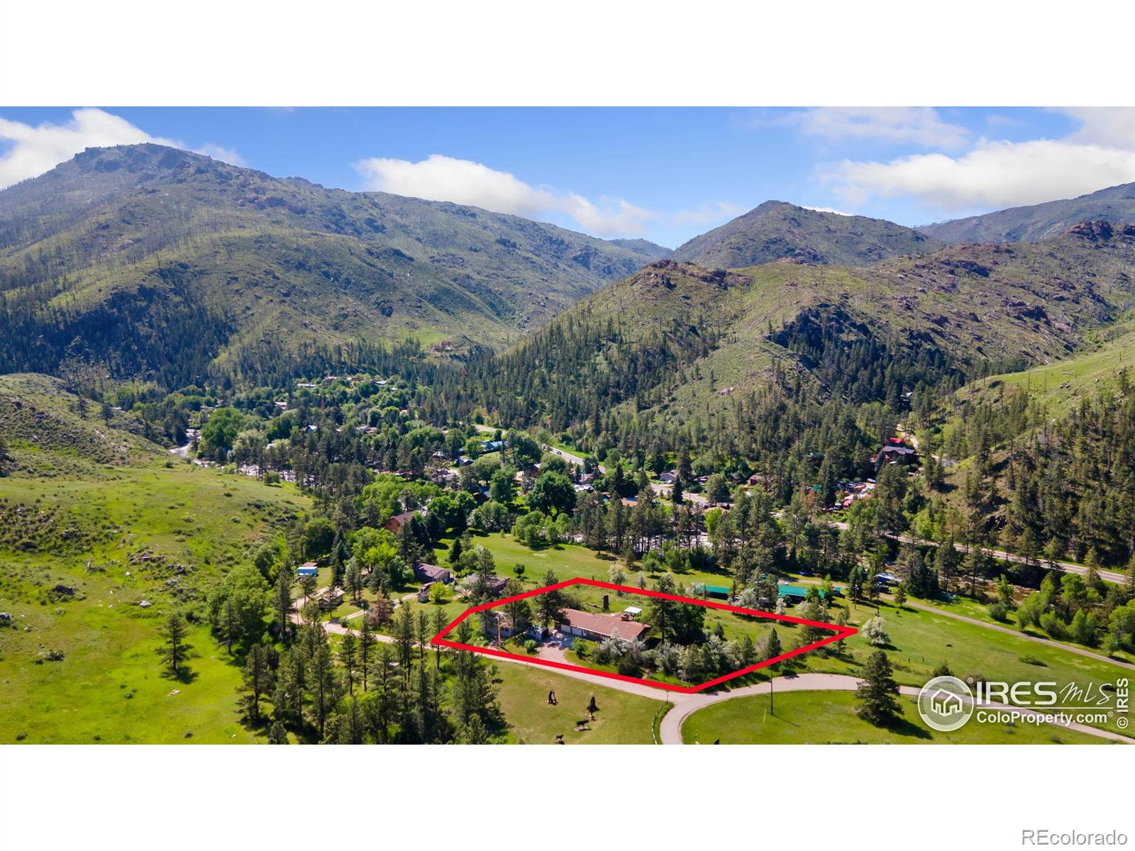 MLS Image #3 for 23  wild river road,bellvue, Colorado
