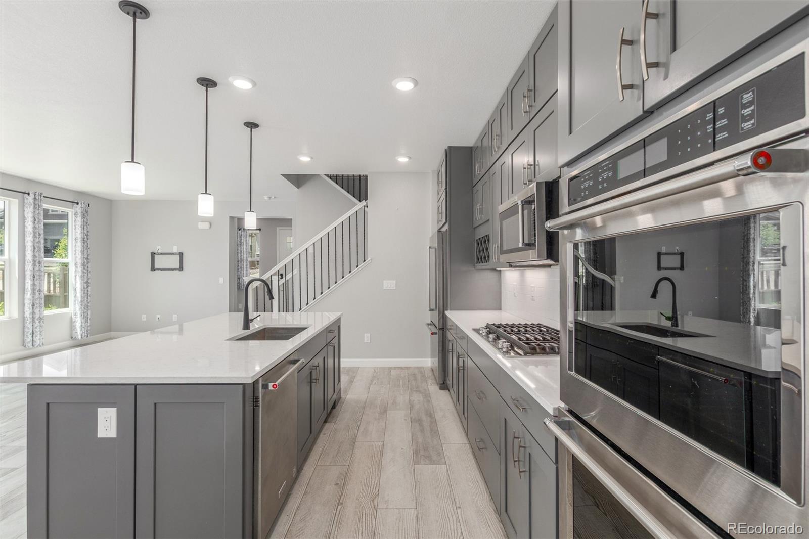 MLS Image #13 for 3338  ireland moss street,castle rock, Colorado