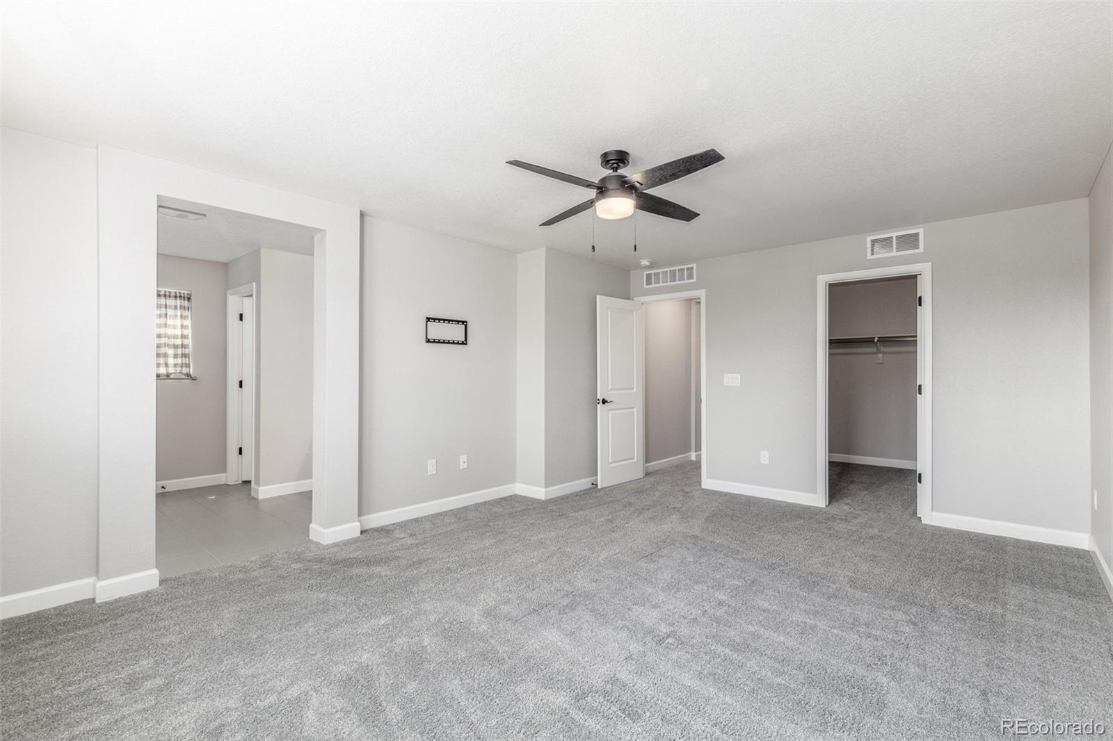 MLS Image #18 for 3338  ireland moss street,castle rock, Colorado