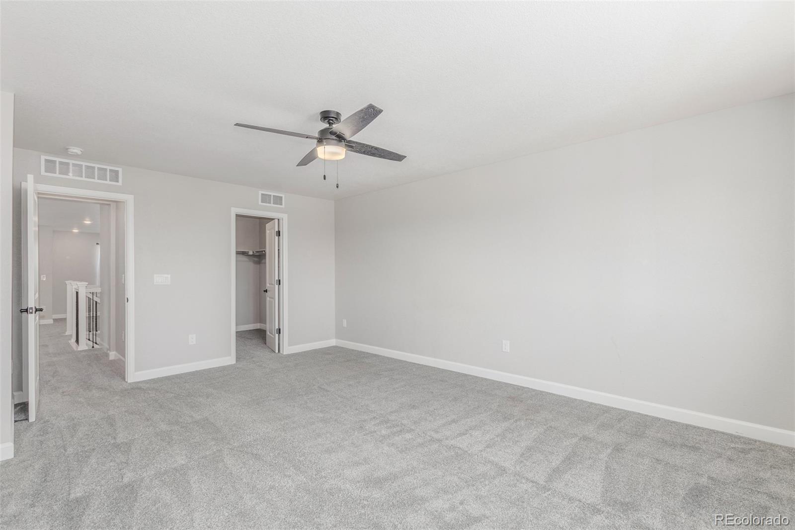MLS Image #19 for 3338  ireland moss street,castle rock, Colorado