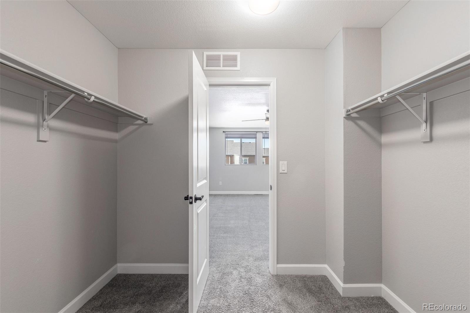 MLS Image #22 for 3338  ireland moss street,castle rock, Colorado