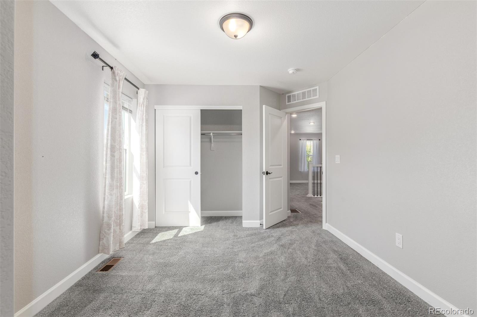 MLS Image #23 for 3338  ireland moss street,castle rock, Colorado