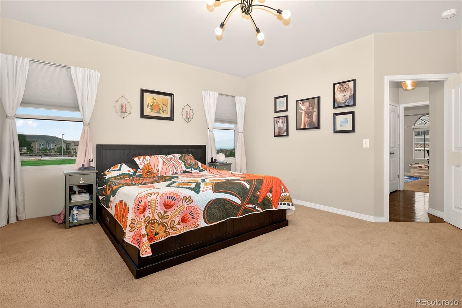 MLS Image #19 for 16017  denver pacific drive,monument, Colorado