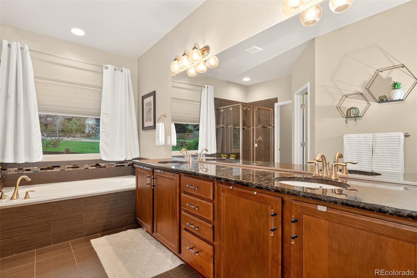 MLS Image #20 for 16017  denver pacific drive,monument, Colorado