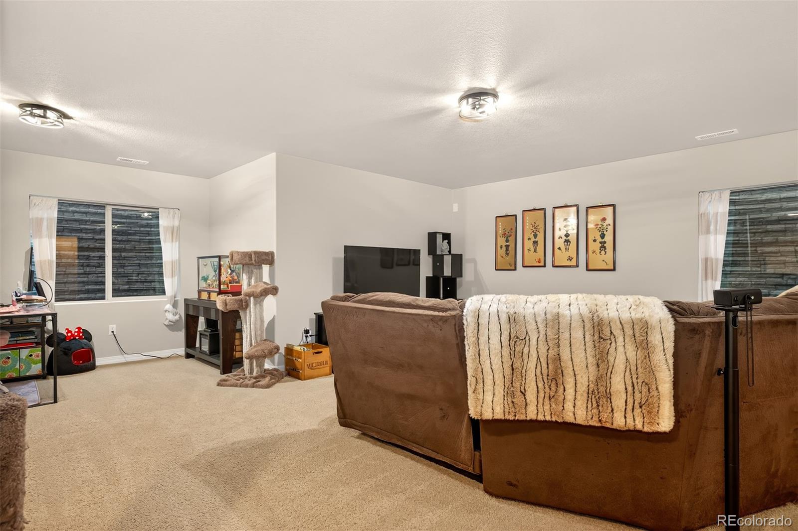 MLS Image #27 for 16017  denver pacific drive,monument, Colorado