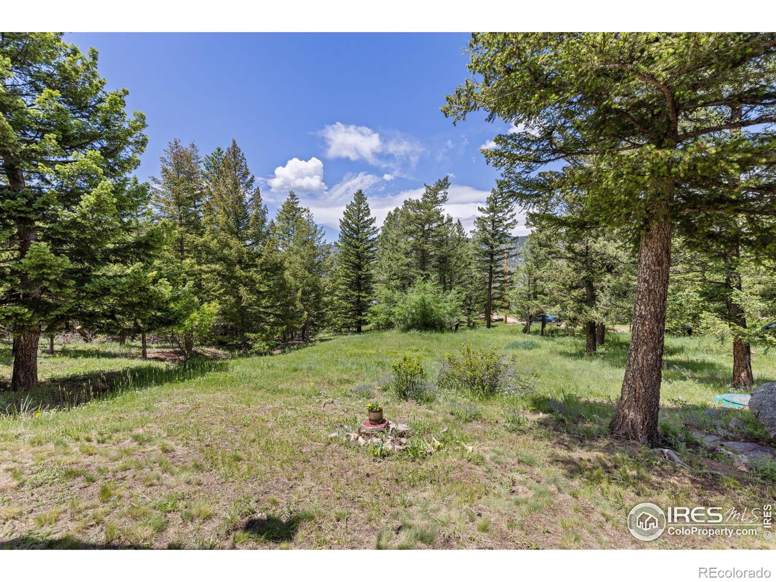 MLS Image #31 for 173  silver cloud lane,boulder, Colorado
