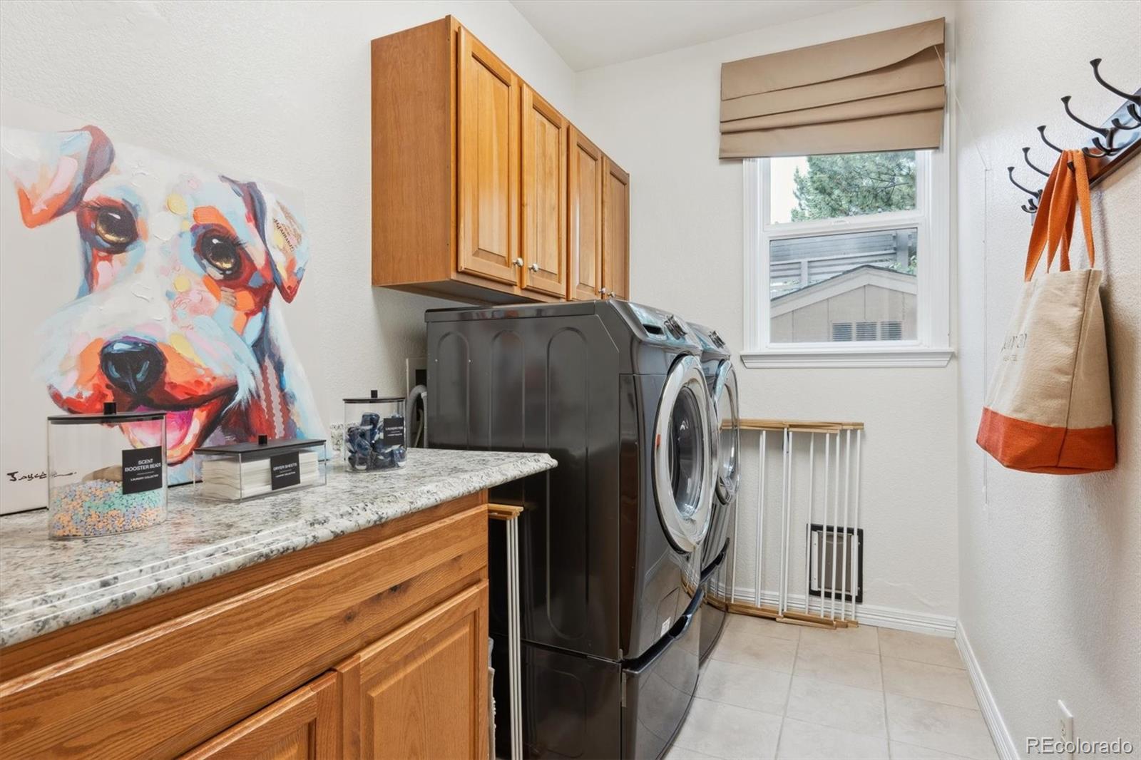 MLS Image #18 for 10258  pennington lane,highlands ranch, Colorado