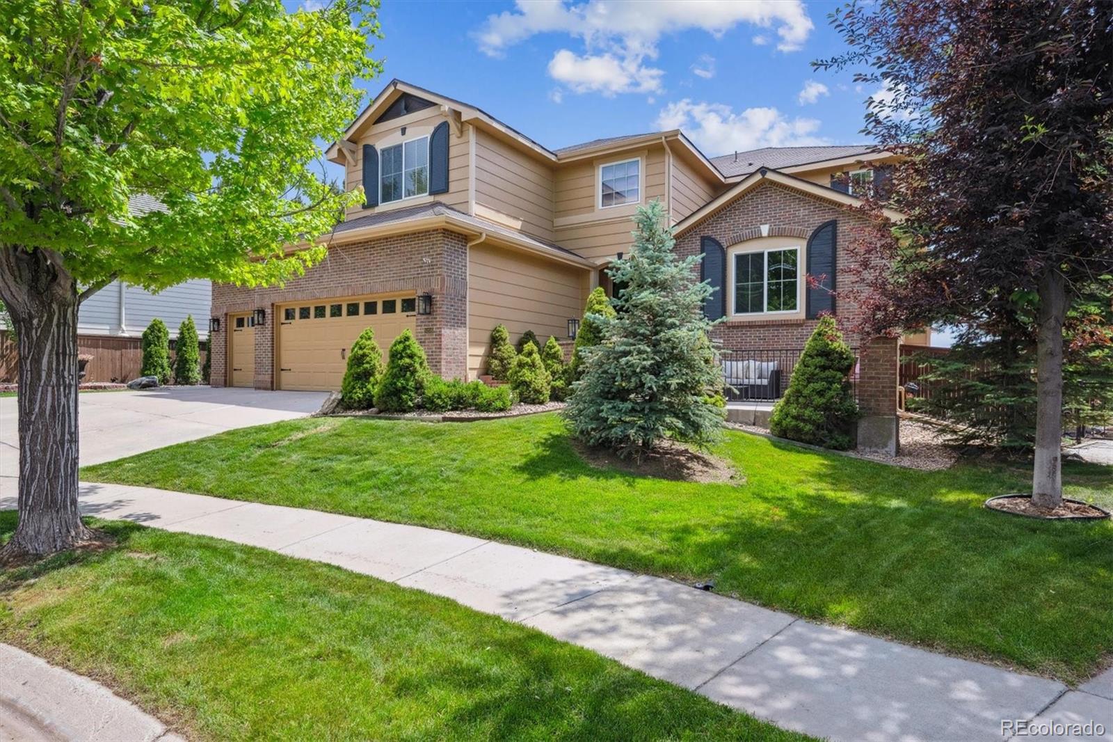 MLS Image #5 for 10258  pennington lane,highlands ranch, Colorado