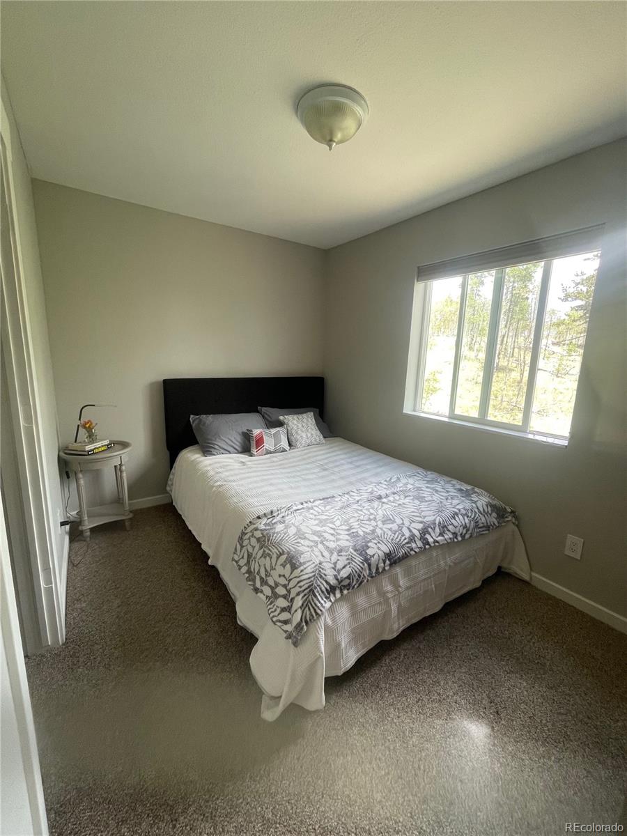 MLS Image #10 for 69  noxibee court,como, Colorado